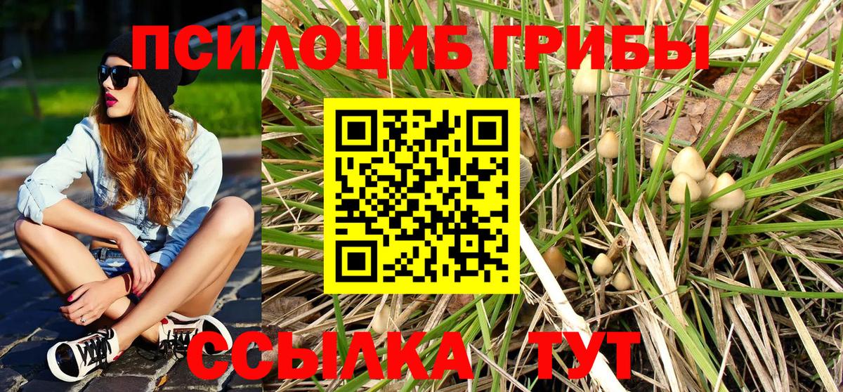 Псилоцибиновые грибы ЛСД Улан-Удэ